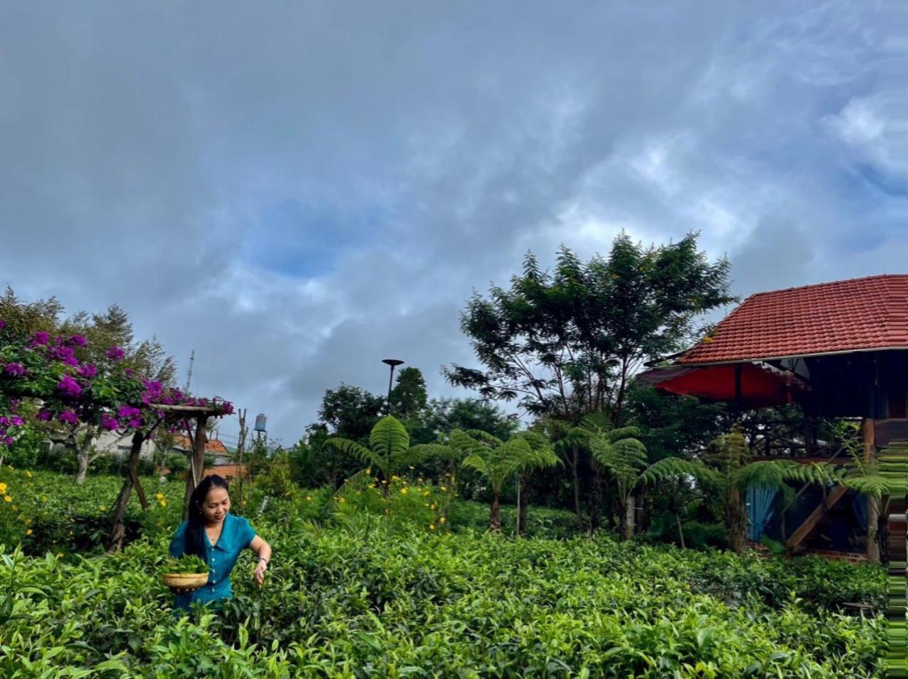 Tea Garden House Villa เบ๋าลอก ภายนอก รูปภาพ
