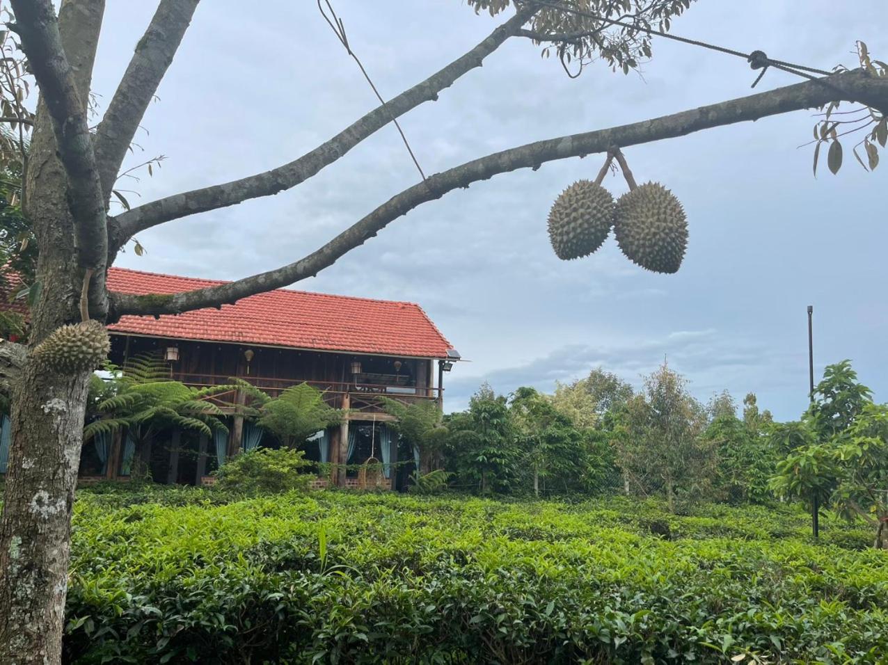 Tea Garden House Villa เบ๋าลอก ภายนอก รูปภาพ