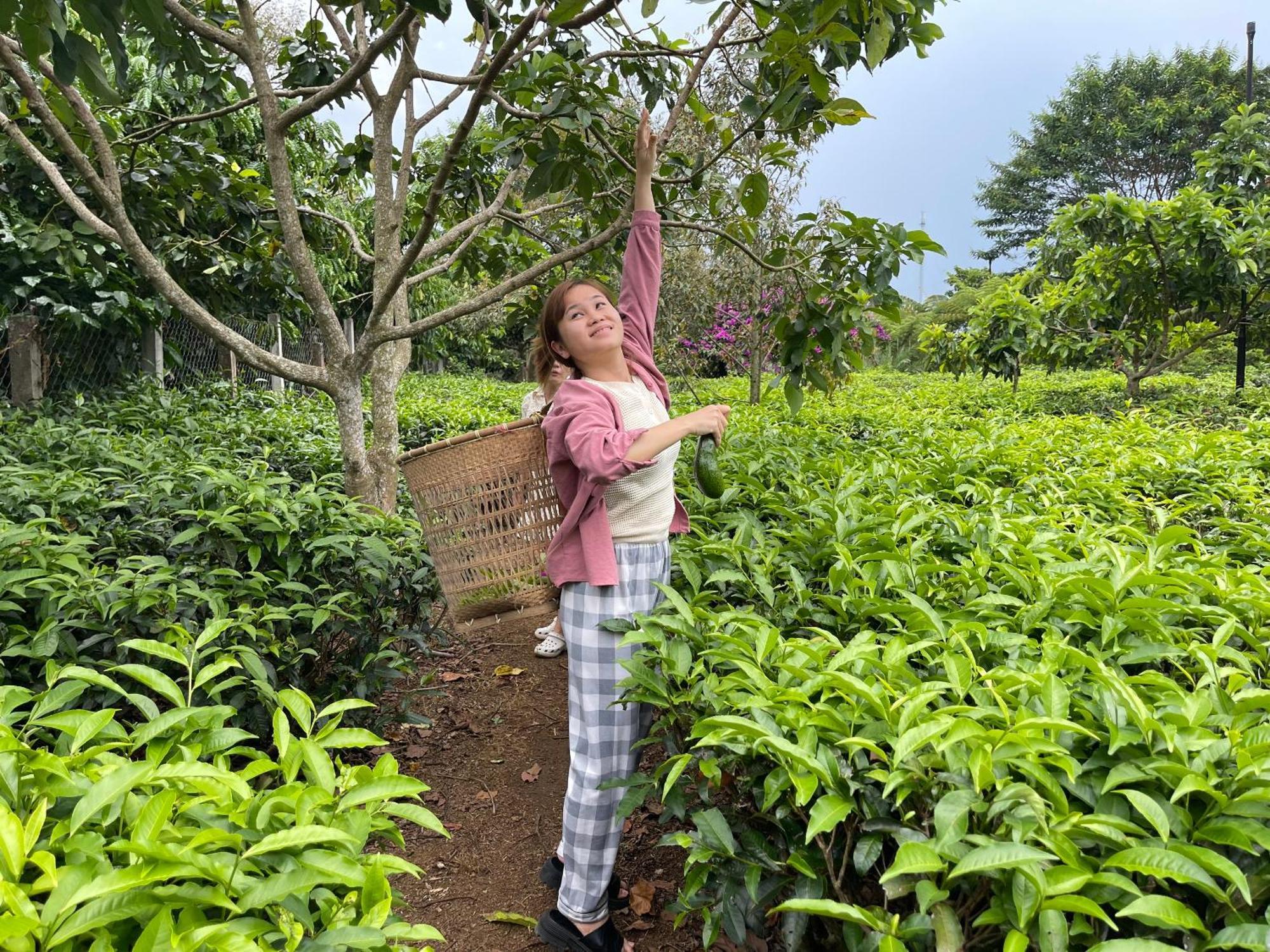 Tea Garden House Villa เบ๋าลอก ภายนอก รูปภาพ