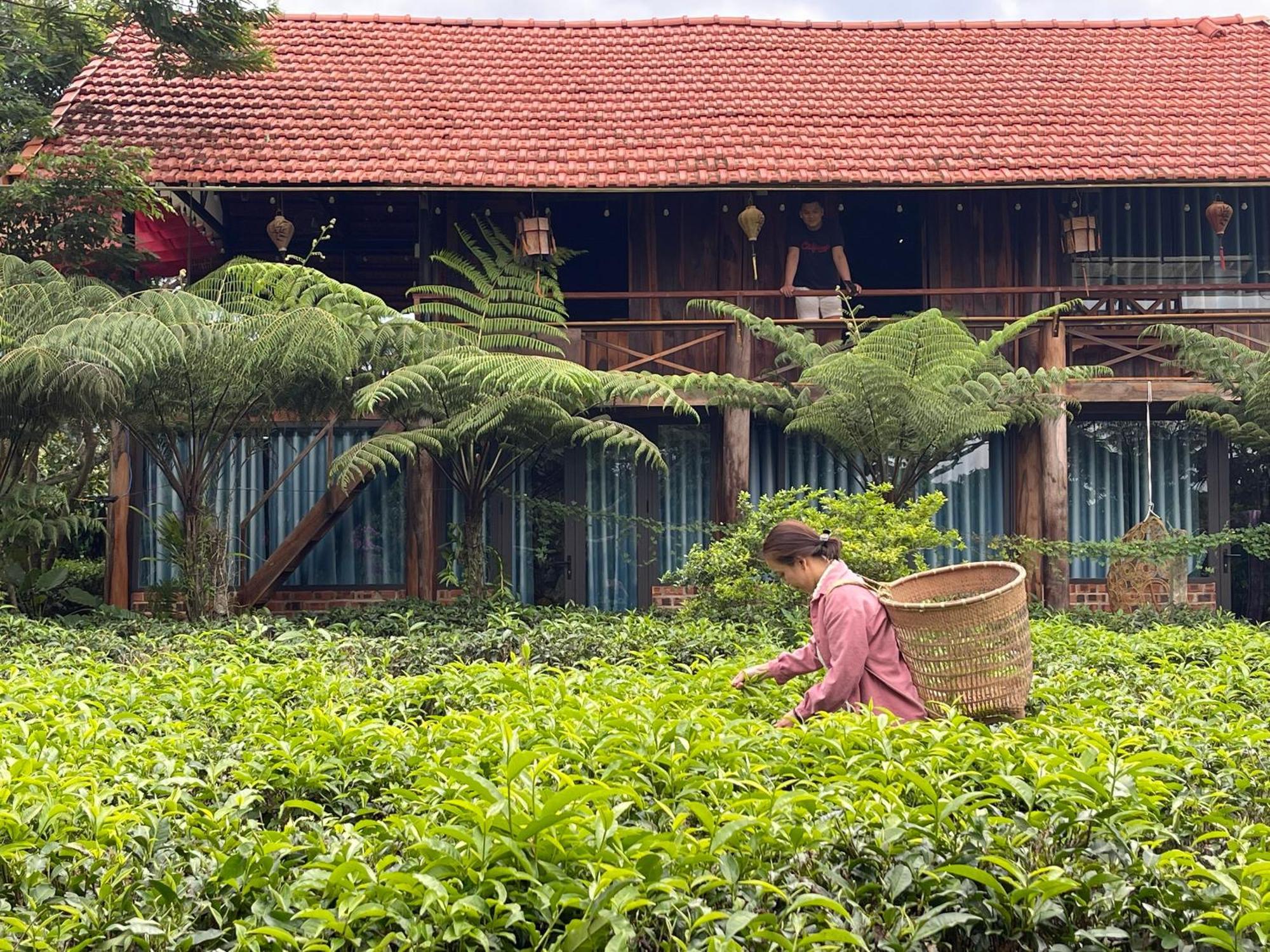 Tea Garden House Villa เบ๋าลอก ภายนอก รูปภาพ