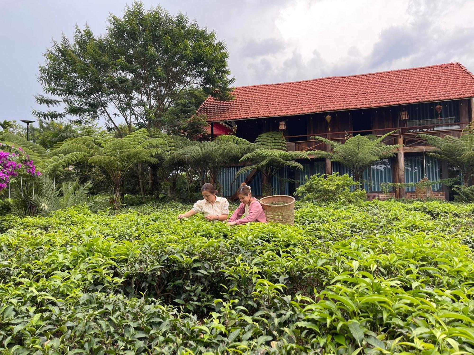 Tea Garden House Villa เบ๋าลอก ภายนอก รูปภาพ