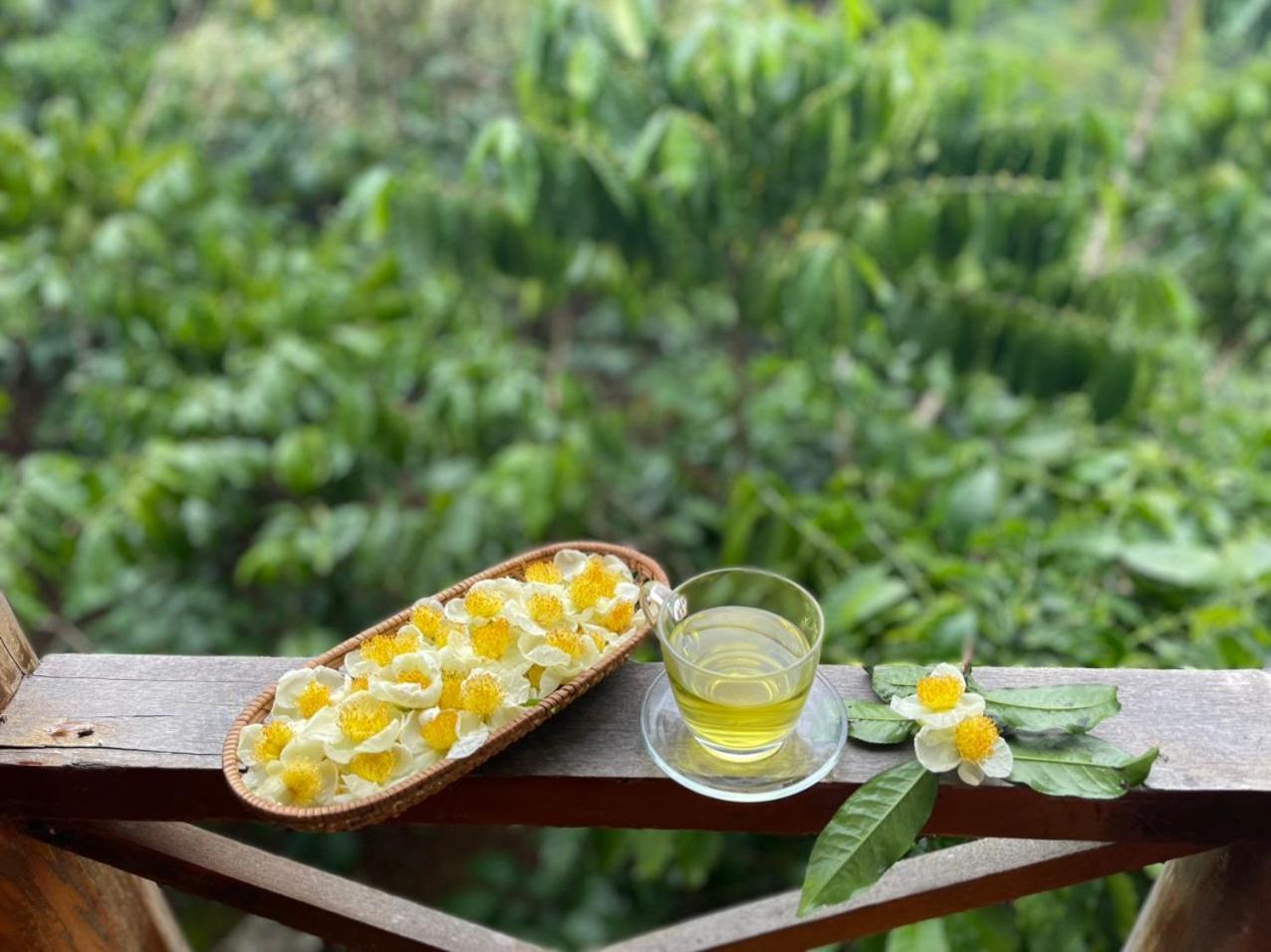 Tea Garden House Villa เบ๋าลอก ภายนอก รูปภาพ