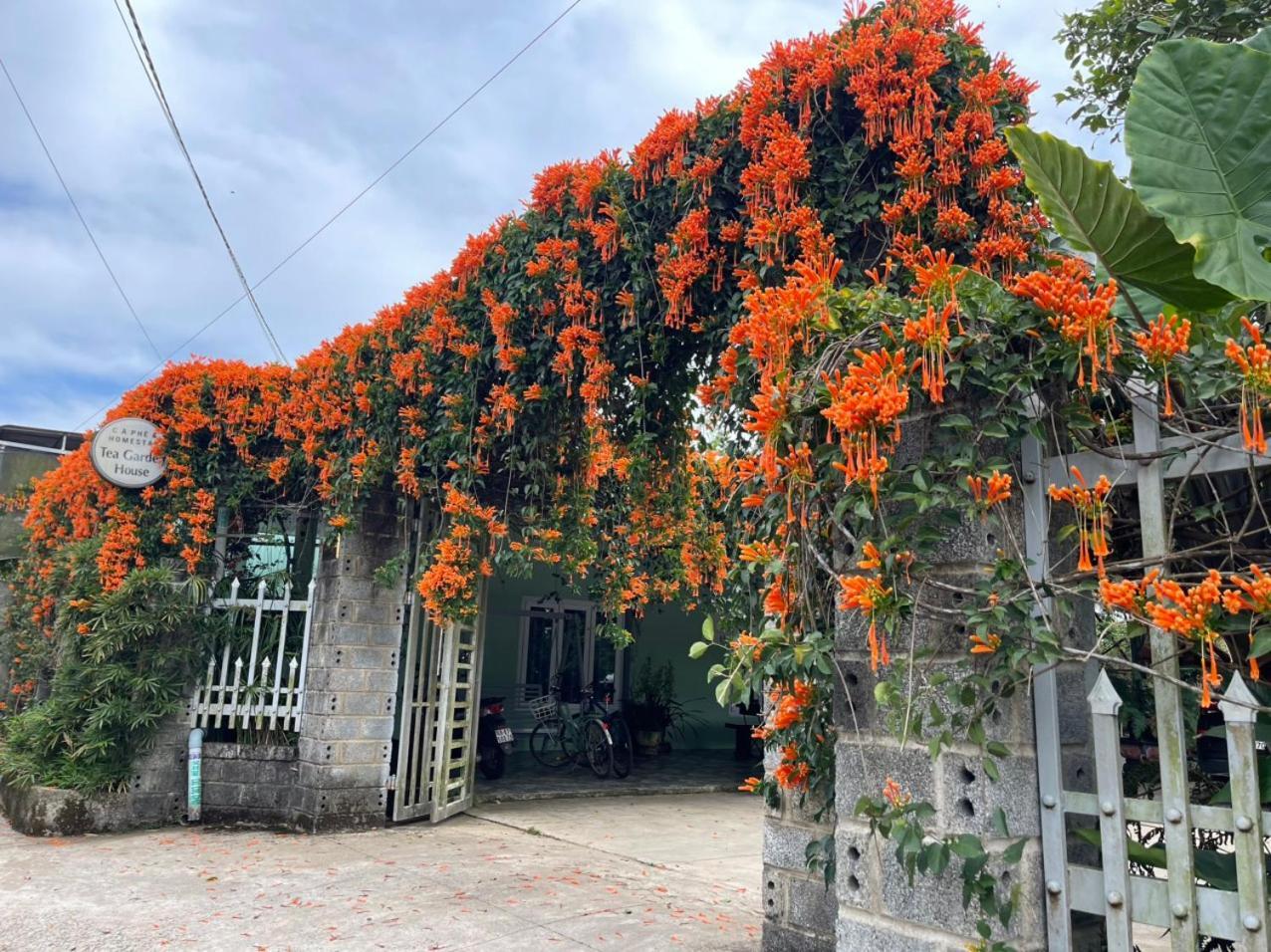 Tea Garden House Villa เบ๋าลอก ภายนอก รูปภาพ