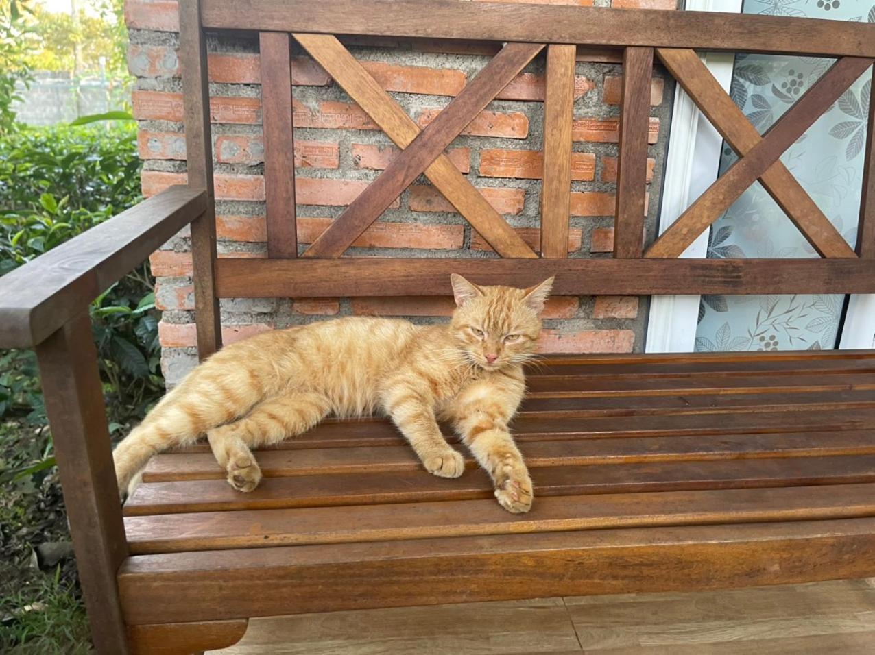 Tea Garden House Villa เบ๋าลอก ภายนอก รูปภาพ